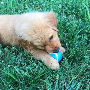 Meet your Posher, Cassie